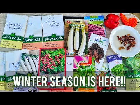 Winter Gardening: Top 25 Vegetable Plants to Grow in Winter!