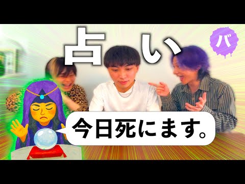 占いしたらカズトシだけエグい予言されてて最高に楽しくて幸せだった☺️【バラエティ】