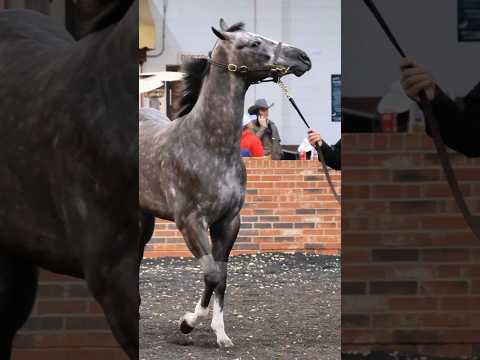 Lo subastaron en 5,700