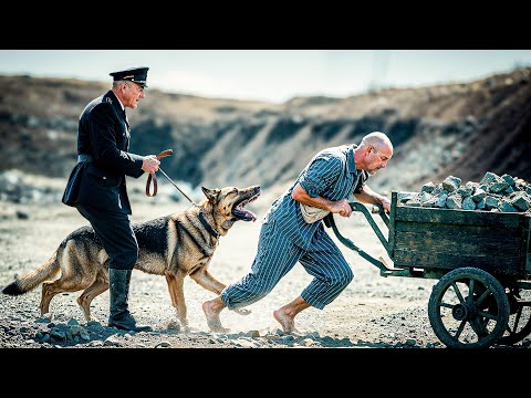 Inside Nazi Germany's Most Horrific Forced Labor Camps