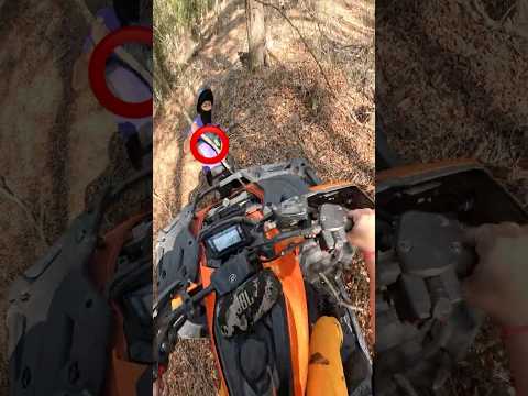 Mom got trapped in the woods… HE SAVED us 😱 #shorts