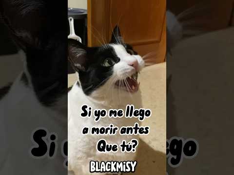 Te casarías con otro?