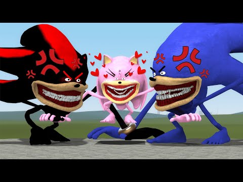 WHO DOES AMY TAPES LOVES SONIC OR SHADOW in Garry's Mod!!!