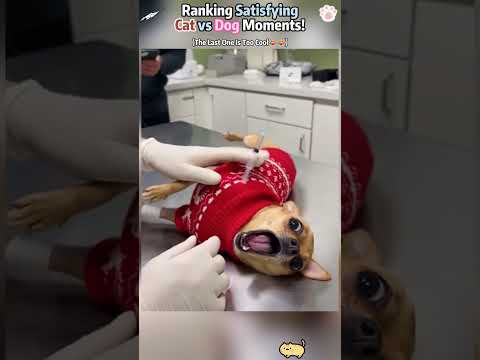 #illustration #tattoo #art #pov #procreate #drawing #whydidntmyexcomeback#digitalart