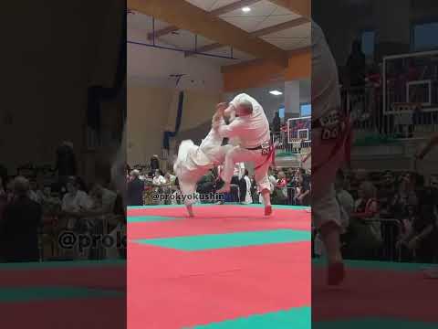 #knockout WKB European #kyokushin #karate championships Olaf Szempliński