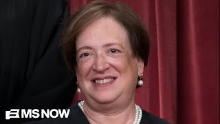 'You're using some pretty obscure sources': Justice Kagan questions Trump litigator