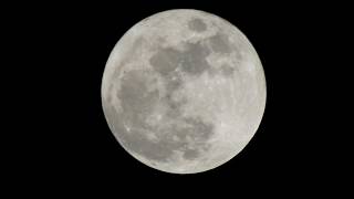 Full Pink Moon - April 1, 2026