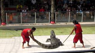 Phuket Zoo - Croc Show!