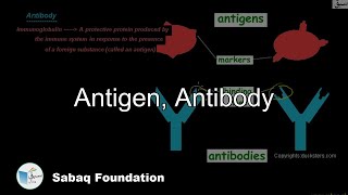 Antigen, Antibody