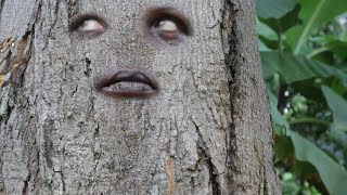 OMUSAMBWA KALIKUTANDA VJ EMMY UGANDAN MOVIE