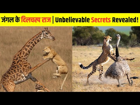 जंगल के दिलचस्प राज | Top 10 Mind-Blowing Wild Animal Facts #facts #factsinhindi