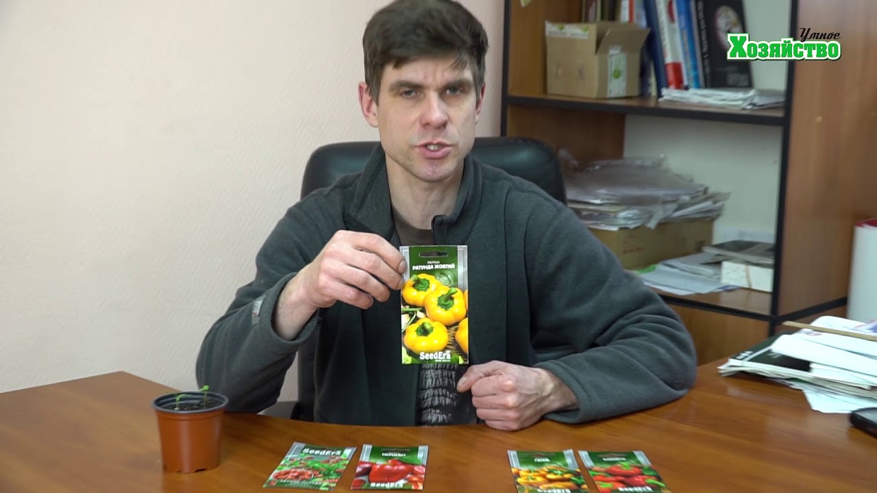 МЕГА урожайные сорта перца!
