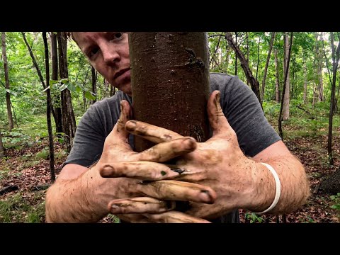 ASMR | Tree Massage in the Rain