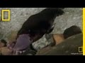 Exploring Platypus Subspecies Through DNA Analysis
