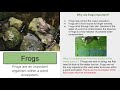 Exploring Ecosystems and Their Relationships
