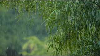 Raindrops Sound for Calming of the mind and sleep 