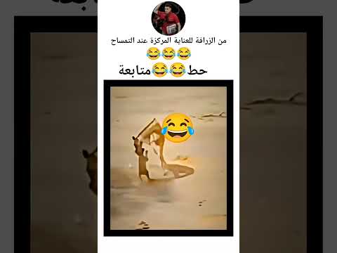 من الزرافة للعناية المركزة عند التمساح 😂😂 #اضحك_وانسى_همك #اضحك_من_قلبك #funny
