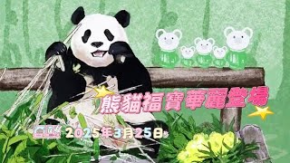 《熊貓福寶華麗登場》🐼🌻(250325) | 熊貓 | Panda | 福寶 | Fubao | 푸바오 | 愛寶樂園 | Everland | 神樹坪 | PPUPPA | [熊貓寶家族] @金寶殿