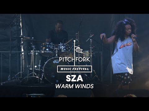 SZA performs  "Warm Winds" - Pitchfork Music Festival 2014