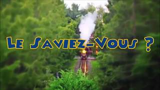 Le Saviez-vous ? Des Vestiges au Colonel Hathi's - Disneyland Paris