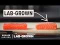 Lab-Grown Salmon Insights and Challenges