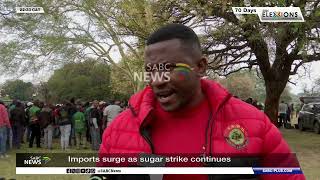 YouTube video thumbnail: Imports Surge as Sugar Strike Continues