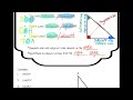 Exploring Trigonometric Concepts and Applications