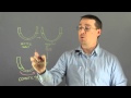 Osmotic Pressure and Related Concepts