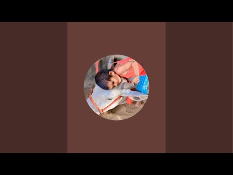 AARTI CHAHAR is live