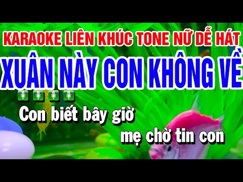 Karaoke Liên Khúc Nhạc Sống Tone Nữ | Xuân Này Con Không Về