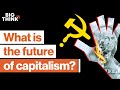 Understanding Wealth Inequality and Capitalism