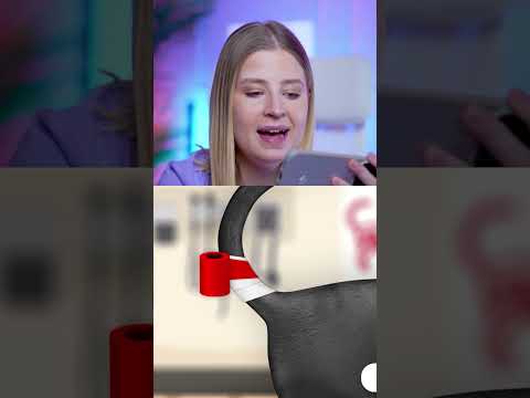 القطه مريضة ! 😨