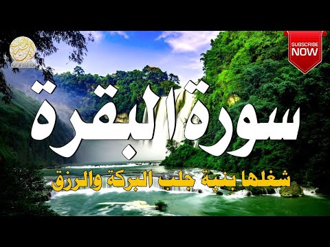 ســورة الـبقـرة (كاملة) لـ محمد هشام | تلاوة هادئة تريح النفس والقلب|| surah Al-Baqarah fll HD