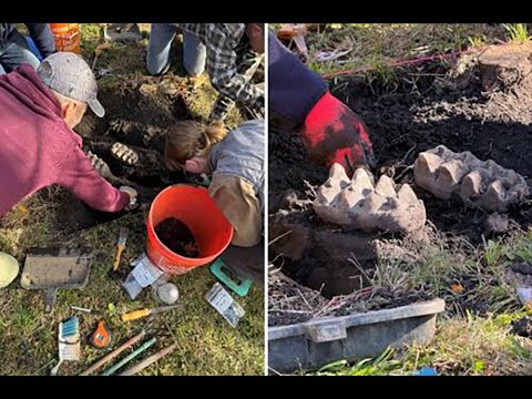 Fossilized mastodon jaw from Ice Age found in New York backyard