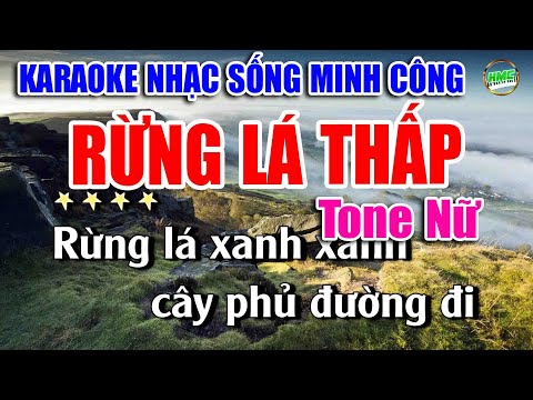 Karaoke Nhạc Trữ Tình Tone Nữ Dễ Hát | Nhạc Xưa Bolero Hải Ngoại – RỪNG LÁ THẤP