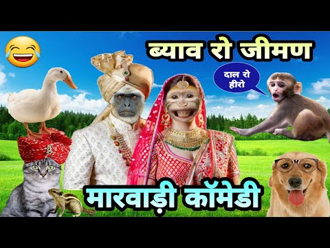 देसी जानवरो की शादी स्पेशल मारवाड़ी कॉमेडी |Animals Marriage Special Marwadi Comedy | fun with singh