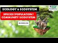 Ecosystem Components and Energy Flow