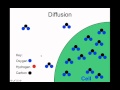 Understanding Diffusion and Osmosis in Cells