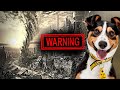Animals Sensing Natural Disasters