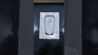 Toilet Flushing #toilet #flushing #flushingtoilets  #shorts