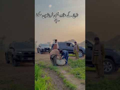 Hafiz muzaffar jutt
