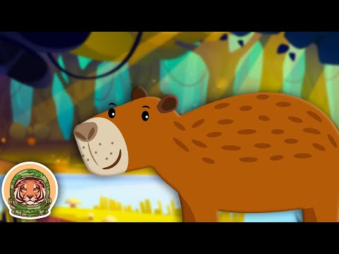 Meet The Capybara! | Animal Songs For Kids | KLT WILD