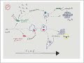 Endosymbiosis Events and Their Impact