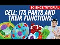 Cell Structure and Function Concepts