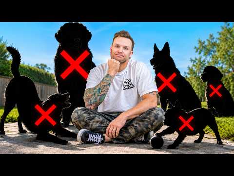 7 Dog Breeds NO Dog Trainer Ever Wants to Train..
