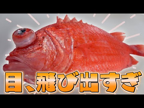 【爺ちゃんの晩御飯】目が飛び出てて鱗が硬すぎるエビスダイが美味し過ぎる！！