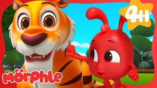 Morphle's Purrfect Pal! 🐯 | Morphle's Family | My Magic Pet Morphle | Kids Cartoons