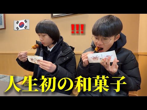 これが日本の伝統ですか？初めて和菓子を食べて衝撃を受けました・・・！こんなに美味しいと思わなかった！