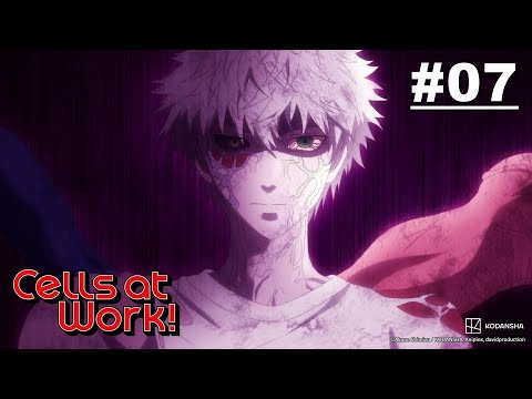 Cells at Work! -  Episode 07 [EN Sub]｜Muse PH