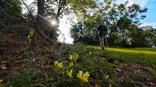 Montgomery Township Park Mercersburg Pa
